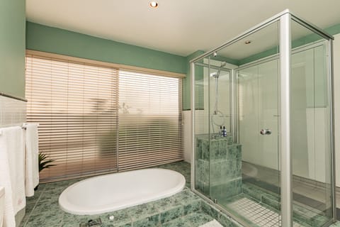 Executive Double or Twin Room | Bathroom | Free toiletries, hair dryer, towels, soap