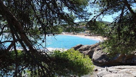 Beach bar