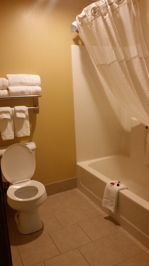 Combined shower/tub, free toiletries, hair dryer, towels