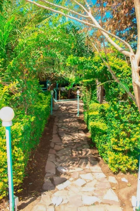 Garden view