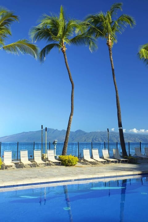Palms by the pool, First picture
