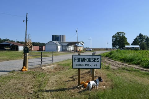 Entrance from Dacus RD. (looking south) The house is second on the right. 