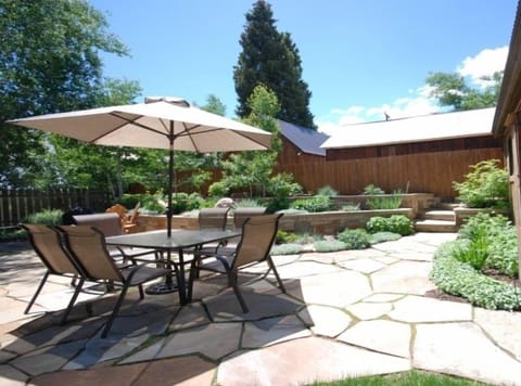 Outdoor Dining and Gas Grill