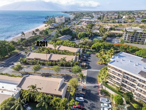 A201 is the closest to the beach at the Maui Banyan resort!