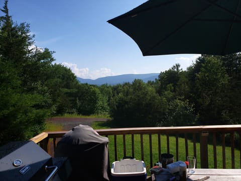 We provide a Kamodo (charcoal not provided) and a gas (provided) grill.