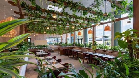 Lunch and dinner served