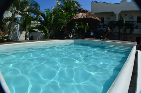 Outdoor pool, sun loungers