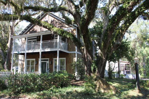 Live Oaks Surround the Property