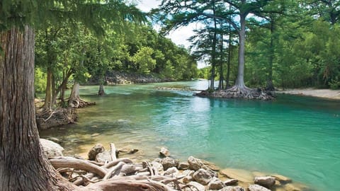 Braun Rio on the Guadalupe
