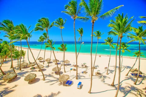 On the beach, white sand, sun loungers, beach umbrellas
