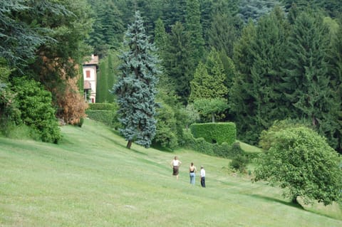 Taking a stroll in the large park with its huge old trees