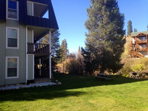 Small condo complex with 15 units on the Fraser River ask about other rentals.