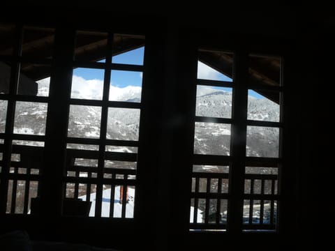 View when you're having a cup of tea or coffee in bed!!