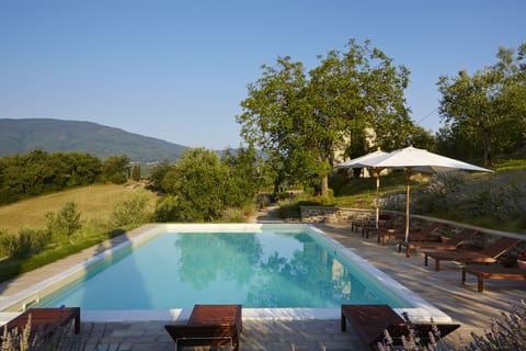 The pool (12m x 6m), sun terrace and house (hidden behind the walnut tree)