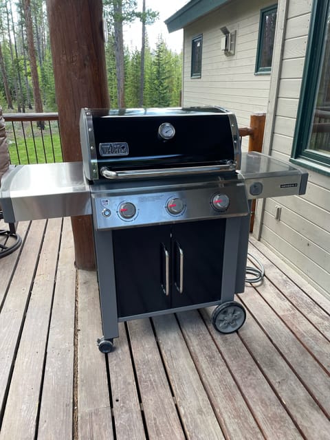 Gas Grill (new summer 2022) 