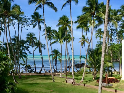 Close up  beachfront view from your private terrace