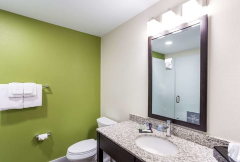 Standard Room, 1 King Bed, Non Smoking | Bathroom | Rainfall showerhead, hair dryer, towels, soap