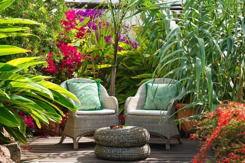 A peaceful spot for enjoying the garden.