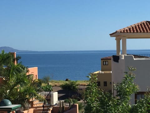 Enjoy Sea of Cortez ☀️views while drinking coffee ☕️watching dolphins🐬
Magico! ✨🦋✨