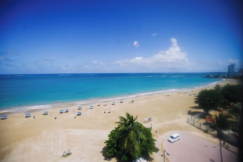 Beachfront View