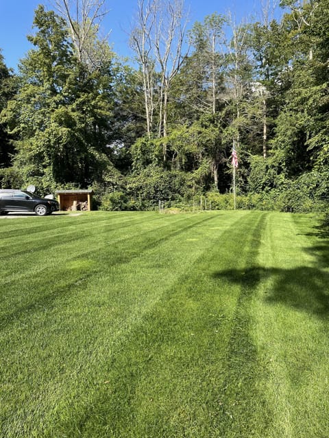 Front lawn. Great for lawn games.