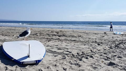 World Famous Coronado Beach