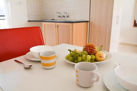 Studio, Terrace | Iron/ironing board, free WiFi, bed sheets