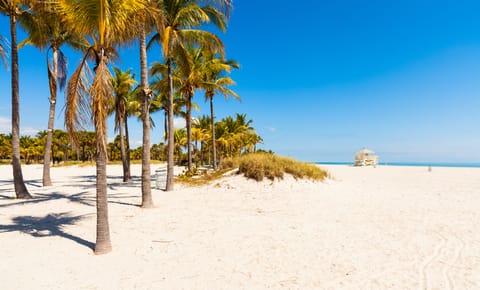 Beach nearby, sun loungers