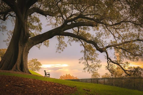 nearby park view
