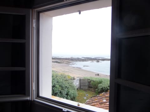 view from kitchen window