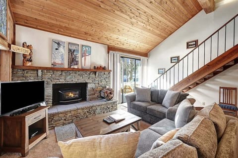 Living Room TV and Woodstove