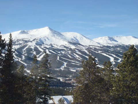 The amazing view
