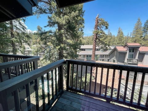 View from the Deck Upstairs