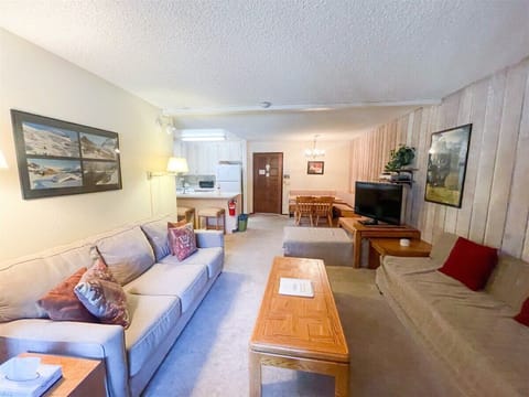 Open Floor Plan Living Room Flat Screen TV