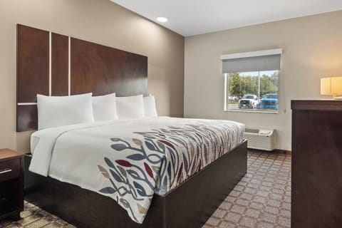 Superior Room, 1 King Bed, Non Smoking | Desk, blackout drapes, iron/ironing board, free cribs/infant beds