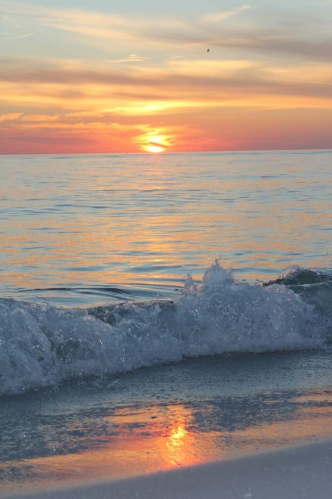 Less than 3 miles to Siesta Key 