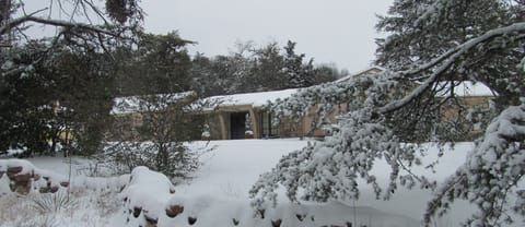 Montlake Retreat is a long rambling house, with four bedrooms and four baths.