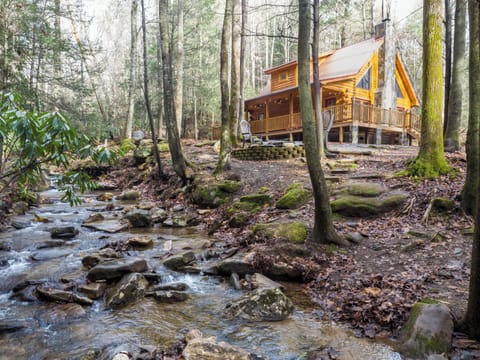 Cozy Creek Cabin, a splendid creekside hideaway in Purlear, NC