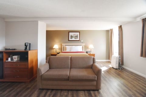 Standard Room, 1 Queen Bed with Sofa bed, Non Smoking | Desk, cribs/infant beds, rollaway beds, WiFi
