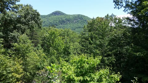 Great front porch views of Pinnacle Knob.