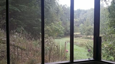 The View out of the back screened in porch