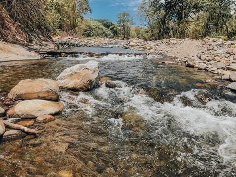 Enjoy the gorgeous Rio Guacimal which the community defended from development.