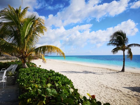 On the beach, white sand, free beach cabanas, sun loungers