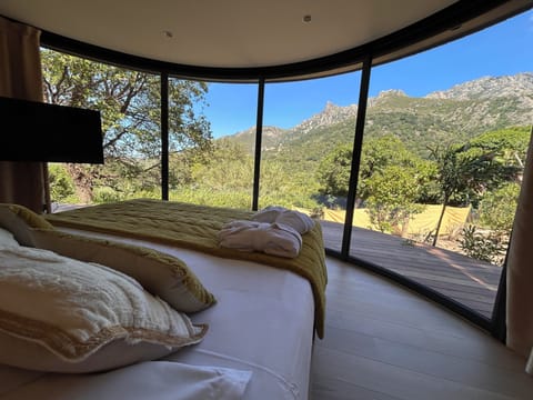 Deluxe Suite | Minibar, in-room safe, blackout drapes, soundproofing