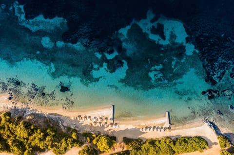 Pet-friendly