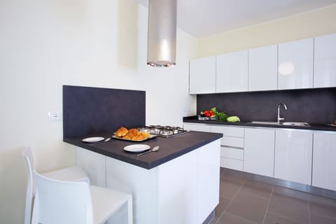 Contemporary state of the art kitchen.