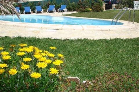Swimming pool and garden