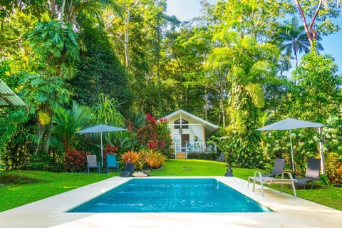 The White Cottage by the pool, surrounded with jungle and gardens. 