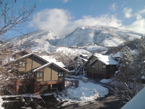 View from living room, hot tub deck and master bedroom