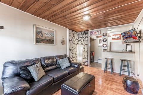 Comfy sofa that is a fold out / sleeper sofa in living room 